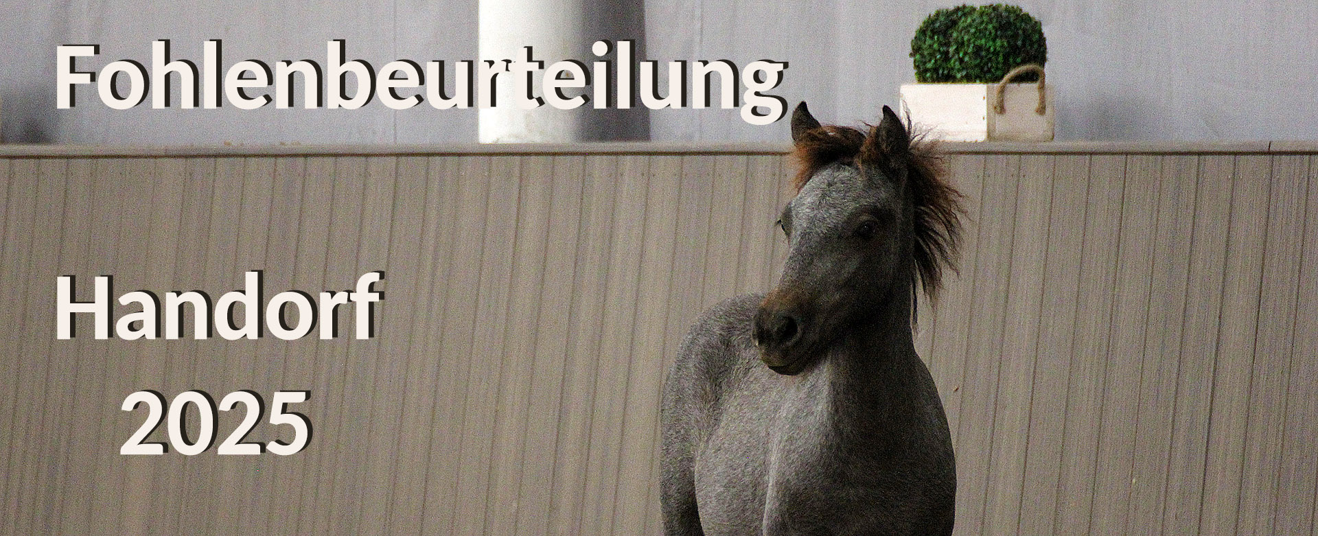 Beispielbild
