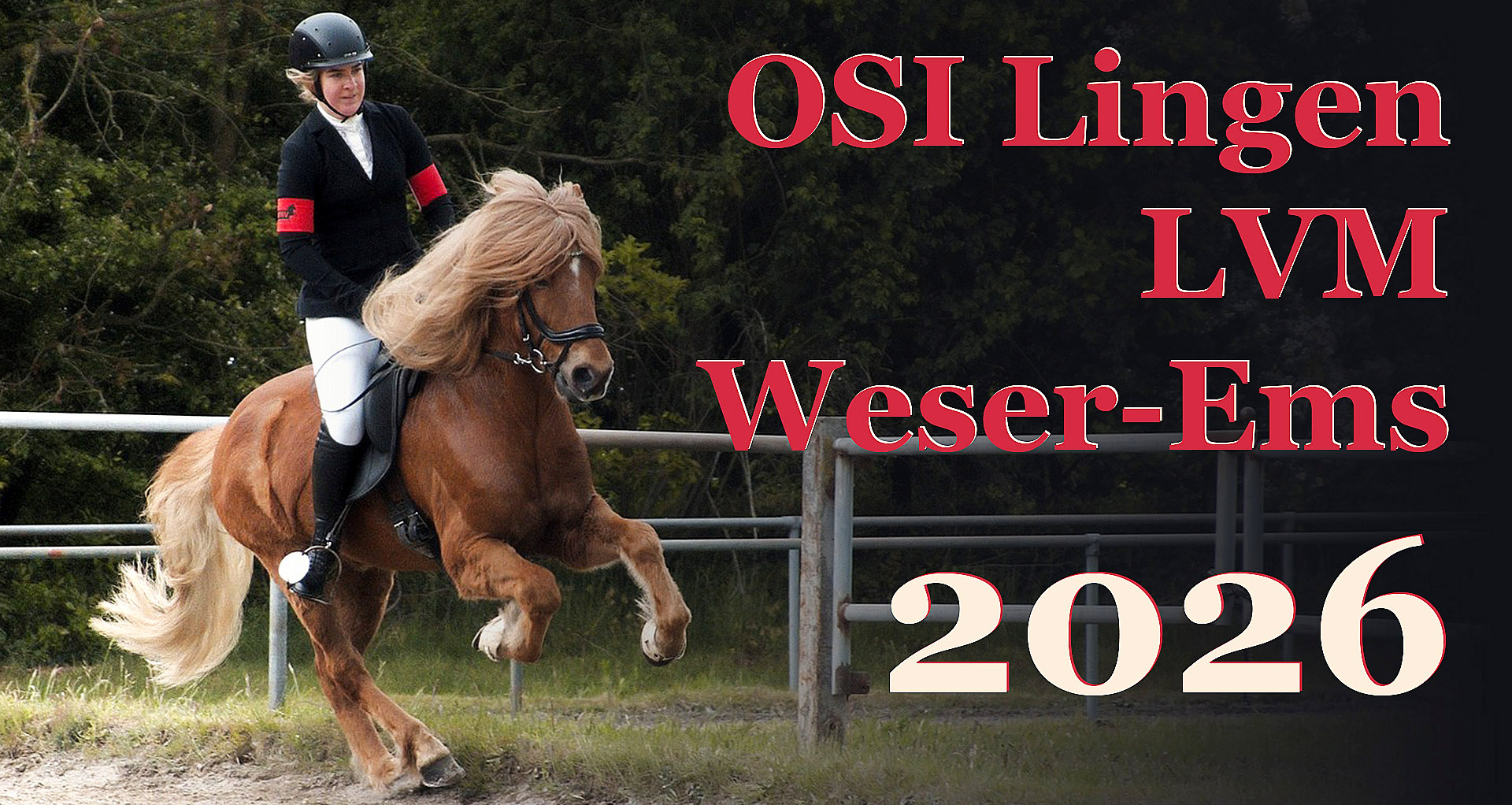 Beispielbild