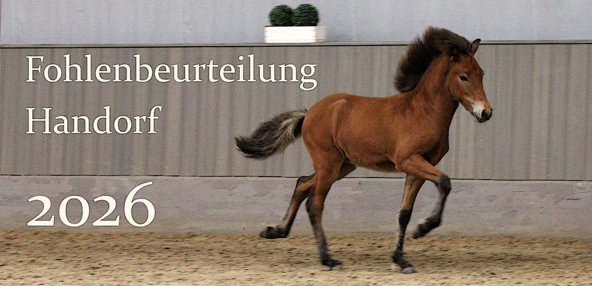 KIntellego ? Symbolbild f&uuml;r KI und Verst&auml;ndnis